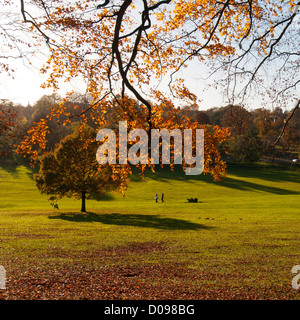Inglese scena di Autunno nel parco Gadebridge, Hemel Hempstead, Hertfordshire, Regno Unito. Foto Stock