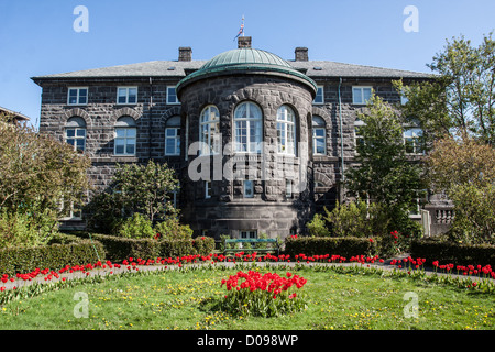 Vista esterna del parlamento islandese e il suo giardino ALTHINGI basalto edificio costruito nel 1881 REYKJAVIK ISLANDA Foto Stock