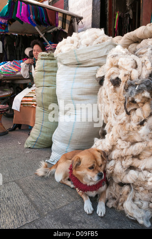 Il Mastino tibetano cucciolo con tradizionale panno rosso collare proprietario vi attende a fianco di balle di lana di pecora a street market, Lhasa, in Tibet Foto Stock