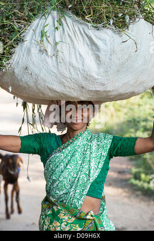 Rurale villaggio indiano donna che porta un sacco di erba tagliata sul suo capo. Andhra Pradesh, India Foto Stock