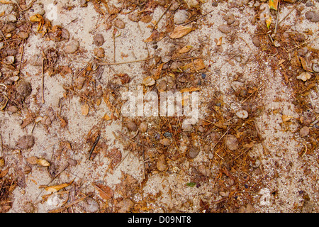 Texture da Milano Foto Stock