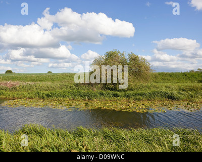 Paesaggio inglese con il bianco delle nuvole e un cielo blu su una via navigabile rurale su una ventilata giornata di primavera Foto Stock