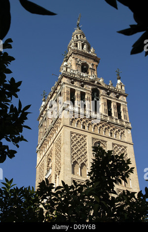 La Giralda Torre Moresca del vecchio 12esimo secolo GRANDE MOSCHEA SSEVILLE Andalusia Spagna Foto Stock