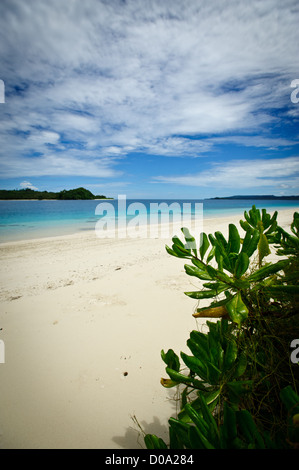 La spiaggia di sabbia bianca di Aloita isola in Mentawai, a ovest di Sumatra, Indonesia. Una gemma nell Oceano indiano Foto Stock