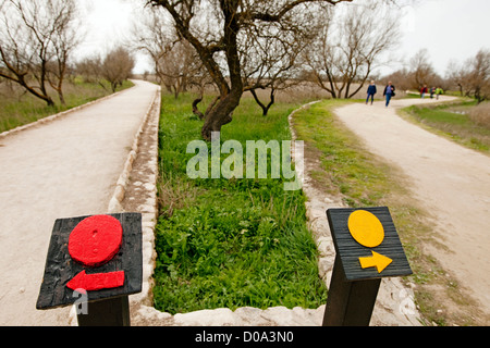 Parco nazionale di Las Tablas de Daimiel Ciudad Real Castilla la Mancha Spagna Parque Nacional de Las Tablas de Daimiel españa Foto Stock