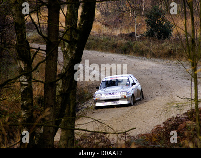 Malton Forest Rally, novembre 2012. Stadio Cropton Foto Stock