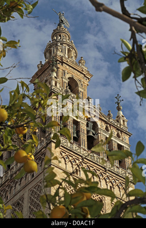 La Giralda e la Torre Moresca del vecchio 12esimo secolo GRANDE MOSCHEA Siviglia Andalusia Spagna Foto Stock