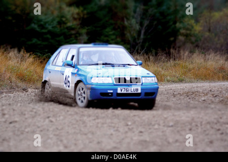 Malton Forest Rally, novembre 2012. Stadio Cropton Foto Stock