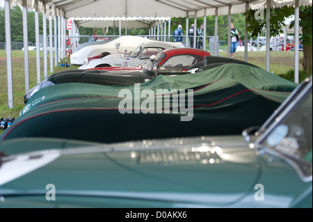 Classic Cars parcheggiato fino sotto il coperchio a pageant di potenza cheshire Foto Stock