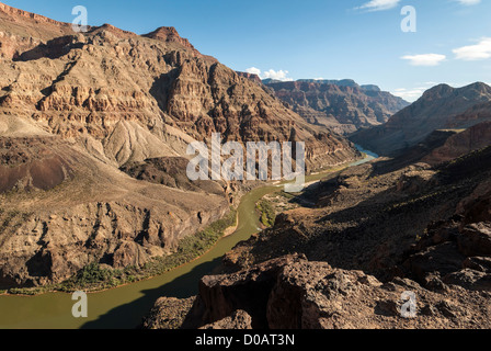 Il fiume Colorado a Whitmore Canyon Overlook, Grand Canyon-Parashant monumento nazionale, Arizona Strip, Arizona. Foto Stock