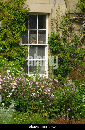 Una vecchia finestra della casa a Howick Hall e giardini in Northumberland. La casa di Earl Grey. Foto Stock