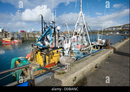 Mallaig, il principale commerciale di porto di pesca della costa occidentale della Scozia. Foto Stock