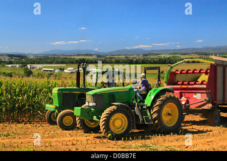 Il taglio di mais, Dayton, Shenandoah Valley della Virginia, Stati Uniti d'America Foto Stock