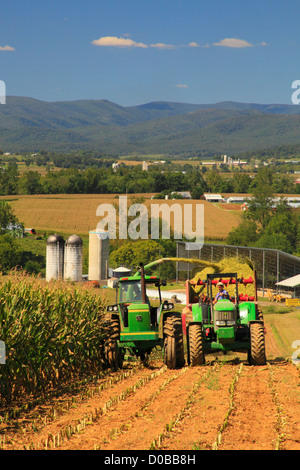 Il taglio di mais, Dayton, Shenandoah Valley della Virginia, Stati Uniti d'America Foto Stock