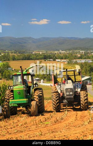 Il taglio di mais, Dayton, Shenandoah Valley della Virginia, Stati Uniti d'America Foto Stock