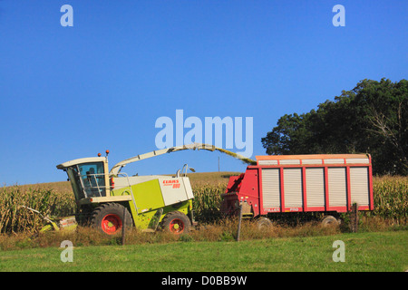 Il taglio di mais, Dayton, Shenandoah Valley della Virginia, Stati Uniti d'America Foto Stock