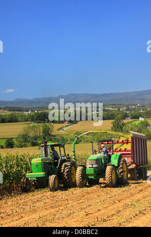 Il taglio di mais, Dayton, Shenandoah Valley della Virginia, Stati Uniti d'America Foto Stock
