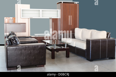 Soggiorno moderno con divano di pelle, tavolo in vetro e un armadio Foto Stock