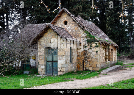 Abbandonato casa rurale con tetto fatiscente e strada sterrata nel bosco. Foto Stock