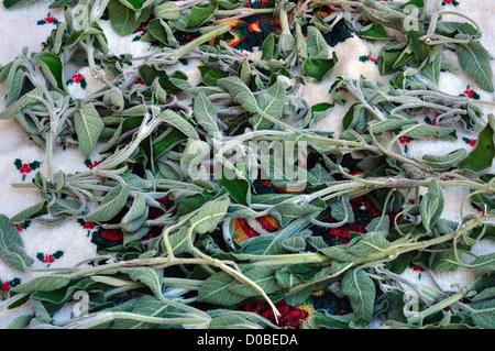 Organico fresco salvia foglie lasciato ad asciugare su un asciugamano. Foto Stock