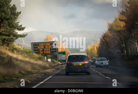 Segno elettronico di avvertimento del cervo sulla A9 strada vicino a Aviemore in Scozia. Foto Stock