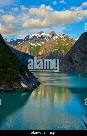 Tracy Arm Fjord, Tongass National Forest, Alaska, STATI UNITI D'AMERICA Foto Stock