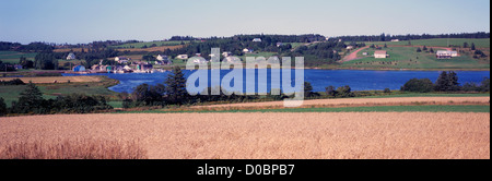 Fiume francese, PEI, Prince Edward Island, Canada - Campo di segale e nazione agricola circondano un villaggio di pescatori, Vista panoramica Foto Stock