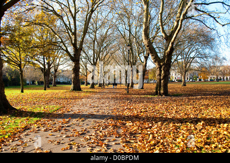 I campi di Highbury, Islington, London, Regno Unito Foto Stock