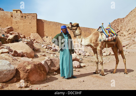 Egitto - febbraio 5: guida di cammello la scalata al monte Sinai il 5 febbraio 2011 a Santa Caterina, distretto, Egitto. Foto Stock