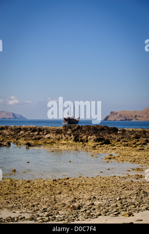 Il Motor Yacht a vela Samata visto dalla spiaggia dell'isola di Padar, Parco Nazionale di Komodo Indonesia Foto Stock