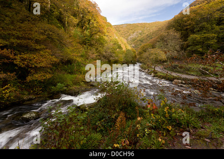 Watersmeet, alla confluenza dei fiumi Farley acqua (trasformata per forte gradiente Oak acqua) e Oriente lyn, in autunno, Parco Nazionale di Exmoor, Devon, Inghilterra, Regno Unito Foto Stock