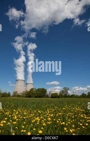 Centrale nucleare di Belleville-SUR-LOIRE VICINO A UN CAMPO DI RENONCULES NELLA PRIMAVERA CHER (18) FRANCIA Foto Stock