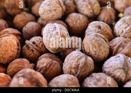 Chiudere l immagine della pila sparsi di noci. Agricoltura sfondo. Foto Stock