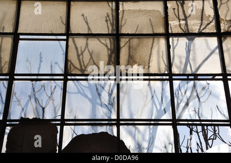 I rami degli alberi e colorato nella finestra di fabbrica. Luce solare riflessa sul vetro rotto dello sfondo astratto. Foto Stock