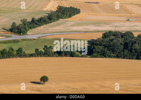 Campi di Grano dopo la mietitura EURE REGIONE VALLE DI Pacy-sur-Eure EURE (27) Normandia Francia Foto Stock