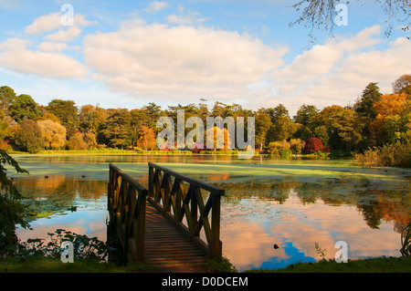 Colori d'autunno Foto Stock