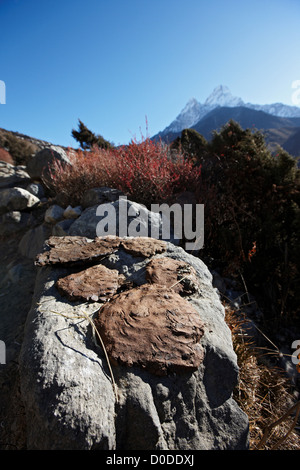 In alta quota villaggi uso Nepalese essiccato sterco di yak stufa combustibile. Qui sterco di yak è essiccamento su roccia sottostante Ama Dablam in Everest Foto Stock