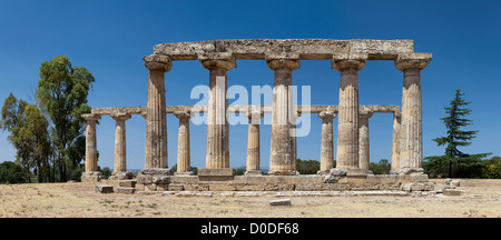Il tempio greco a Metaponto. Foto Stock
