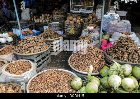 Zenzero e noci di cocco in vendita al mercato di Dong Ba Hue Vietnam // HUE, Vietnam — zenzero, noci di cocco e altre radici commestibili esposte in vendita a Cho Dong Ba, il mercato centrale che serve Hue. Il mercato, comunemente noto come mercato di Dong Ba, opera come il principale centro commerciale della città per i prodotti freschi e le merci locali. Situato nell'ex capitale imperiale del Vietnam, il mercato serve sia i residenti che i visitatori alla ricerca di ingredienti tradizionali vietnamiti e specialità regionali. Cho Dong Ba è stato il principale centro commerciale di Hue per decenni, offrendo un'ampia varietà di frutta fresca e vegetab Foto Stock
