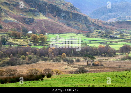 Dale basso da Castlerigg Stone Circle Keswick Lake District Cumbria Inghilterra England Foto Stock