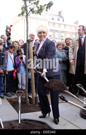 Barbara Windsor si unisce con il vice sindaco in una piantagione di alberi cerimonia in Marylebone. Essi sono stati assistiti dai bambini di Foto Stock