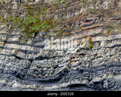 Una vista delle rocce a Hartland Quay Devon UK Foto Stock