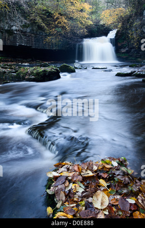 Di West Burton cascata in autunno Wensleydale North Yorkshire, Inghilterra Foto Stock