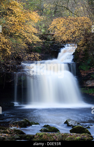 Di West Burton cascata in autunno Wensleydale North Yorkshire, Inghilterra Foto Stock