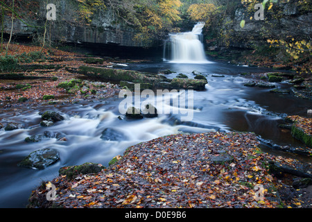 Di West Burton cascata in autunno Wensleydale North Yorkshire, Inghilterra Foto Stock