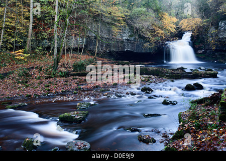 Di West Burton cascata in autunno Wensleydale North Yorkshire, Inghilterra Foto Stock