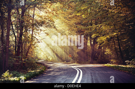 Grande shoot di raggi di sole sopra la strada nella foresta Foto Stock