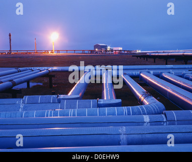 Tubazioni olio dalla produzione pastiglie, Prudhoe Bay campo petrolifero, versante Nord, Alaska Foto Stock