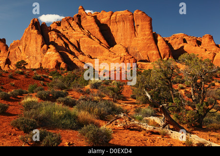 La pietra arenaria erose le pinne di fornace ardente formazione vicino duna di sabbia Arch, nel Parco Nazionale di Arches, Utah. Foto Stock