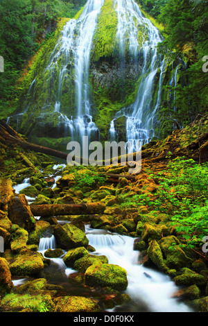 La base di Proxy cade nelle tre sorelle deserto, Willamette National Forest, Oregon. Foto Stock